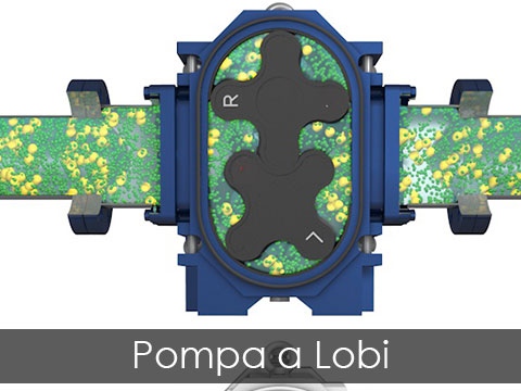 Pompa a Lobi